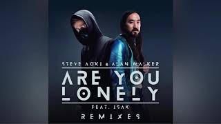 Steve Aoki &amp; Alan Walker - Are You Lonely (feat. ISÁK) (Steve Aoki Remix)