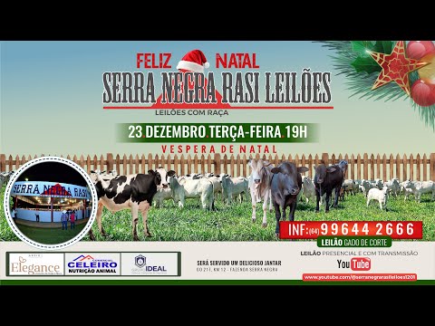 LEILÃO  SERRA NEGRA RASI LEILÕES - PIRACANJUBA - GO | 23 DE DEZEMBRO DE 2025