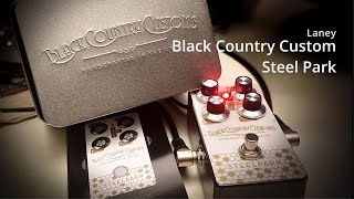 Video thumbnail for Laney Black Country Custom Steel Park by Jon is just TOO LouD!!