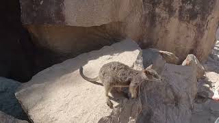 Magnetic Island