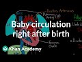 Baby Circulation Right After Birth Circulatory System Physiology NCLEX RN Khan Academy