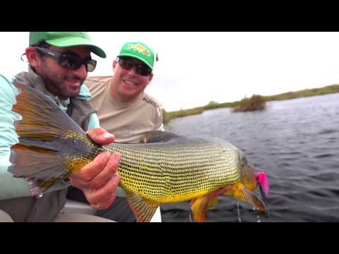 Ibera wetlands and Upper parana River combo program