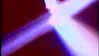 Wire - Silk Skin Paws