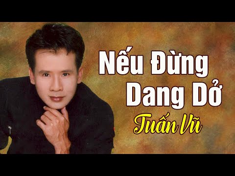 NẾU ĐỪNG DANG DỞ