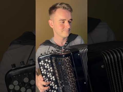 Akordeonistas vestuvėms – gyva muzika #4