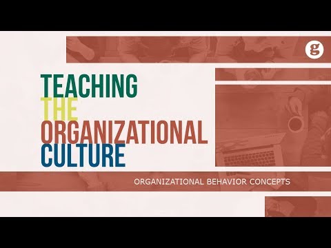 What is Organizational Behavior