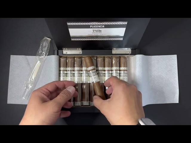 سيجار بلاسينسيا كوسيتشا 146 لا موسيكا