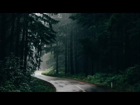 Dark Autumn - Jamshid Kurdi