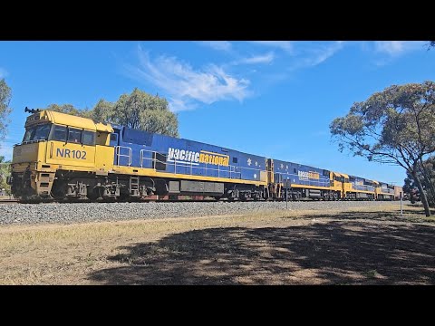 2PM5 PN up "Linfox Express #1" (2x NRs, 2x 94s, 74P), Perth to Melbourne 1520, 11/12/25, Horsham VIC