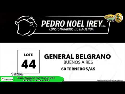 30-01-23 - Remate Televisado de Pedro Noel Irey S.R.L. - Brandsen, Bs.As.
