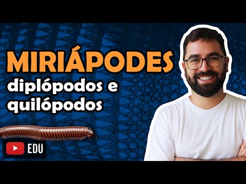 Myriapods (Arthropods: Part 5) - Class 24 - Module VI: Zoology | Prof. Guilherme