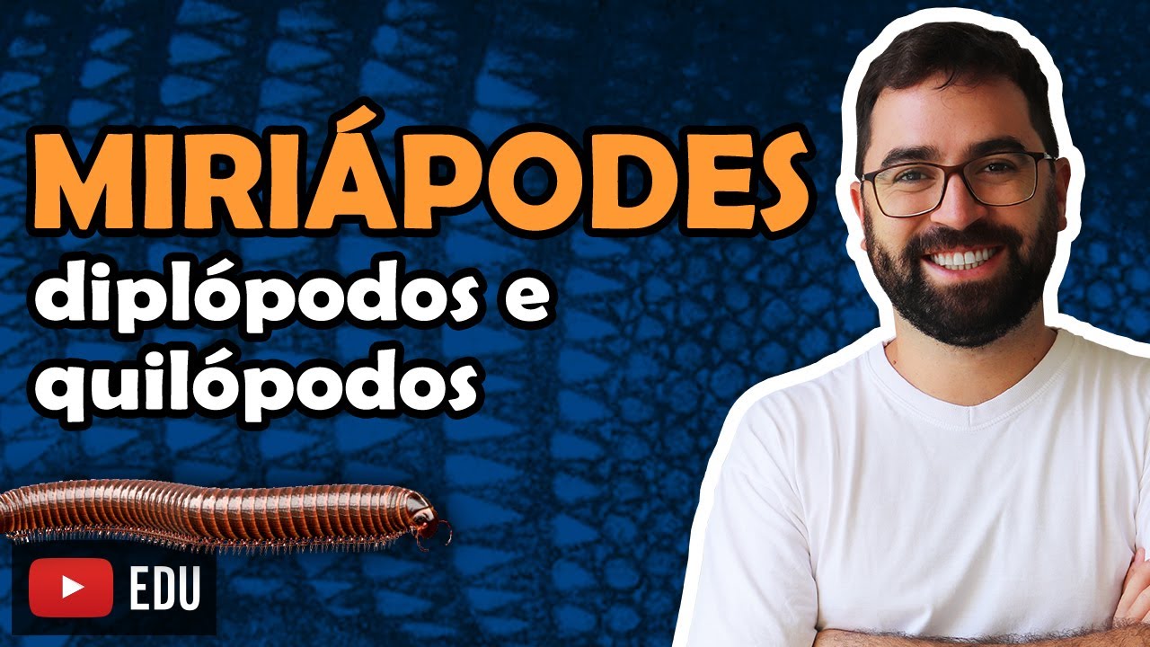 Miriápodes (Artrópodes: Parte 5) - Aula 24 - Módulo VI: Zoologia | Prof. Guilherme
