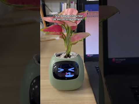 Vidéo YouTube - jFqDajyL6OA