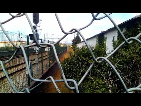 comboio em manobras na fábrica de cacia