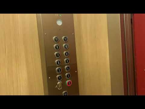 Stora Hissen på Ankdammsgatan 42