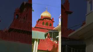 Download lagu 🙏🏻🌹Satnam Waheguru🌹🙏🏻#shorts #status #satnam #waheguru mp3 Download lagu 🙏🏻🌹Satnam Waheguru🌹🙏🏻#shorts #status #satnam #waheguru mp3