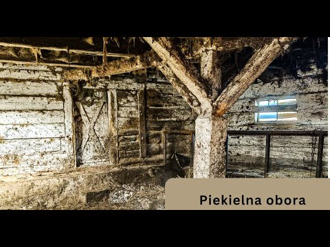 Makabra w Idzbarku – jest wyrok! Rolnik idzie siedzieć 4 Zobacz Nagranie Z Interwencji W Idzbarku