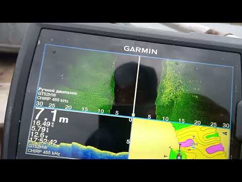 Garmin striker vivid 7 sv.Нашел крупного судака.