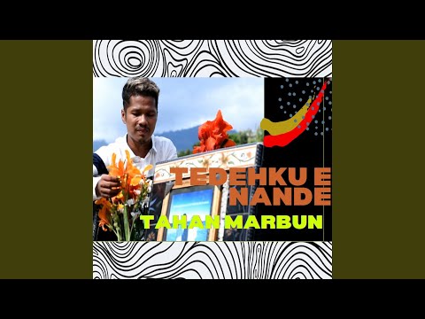 TEDEHKU E NANDE