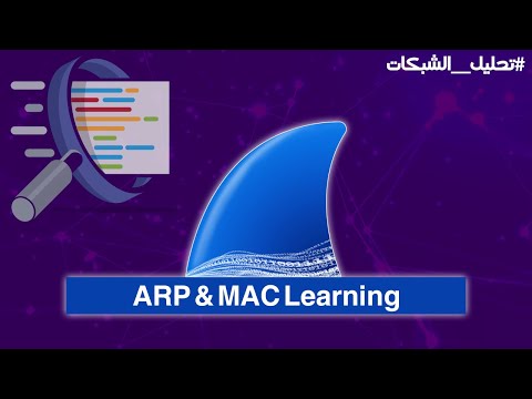 شرح وتحليل ARP & MAC Learning | Wireshark