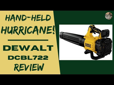 DeWalt 20V Blower Review