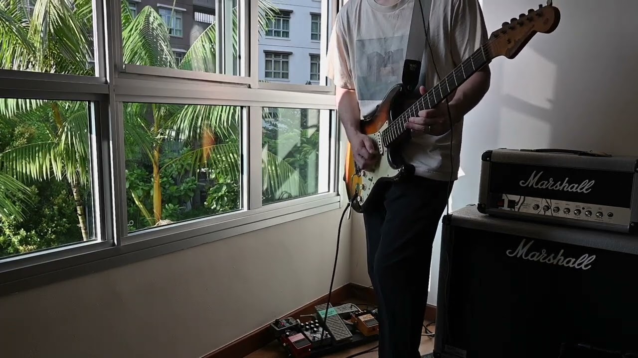 Play This at Sunset #johnfrusciante #rhcp