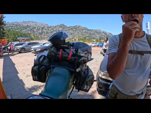 i found a puppy in Turkey and took it.