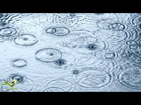 Relaxing Sleep Music & Gentle Rain Sounds - Deep Ambient Music for Sleeping with Black Screen