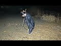 16 Sexy Girl In Boots Gets Stuck In Swamp