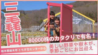 【三毳山】登山　みかも山公園から青竜ヶ岳、カタクリ山、中岳の周遊登山