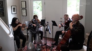 Counting Stars - OneRepublic - Artistrings Chicago Pop String Quartet Cover