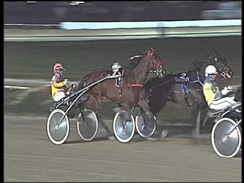 Trotto 22/12/2015 - 6° corsa