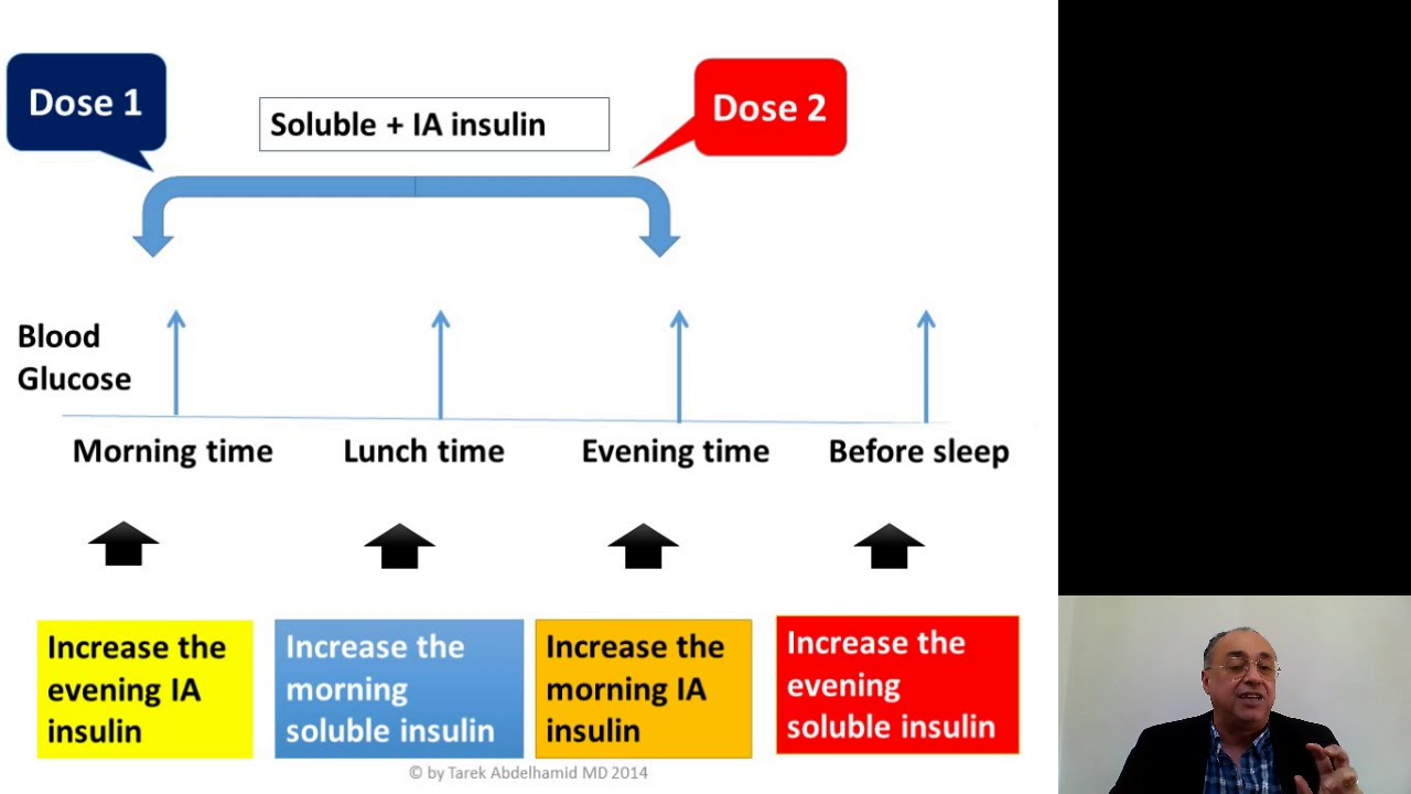 Diabetes Mellitus (3) Quick Review