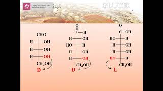 HÓA SINH THỰC PHẨM. CHƯƠNG GLUCID
