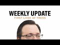 A First Look at Tress of the Emerald Sea + Weekly Update