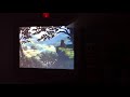 Closing To The Fox And The Hound VHS 1994