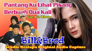 Download lagu PANTANG KU LIHAT PISANG BERBUAH DUA KALI (Cipt. Arie Wibowo) - Vocal by Bill & Brod mp3