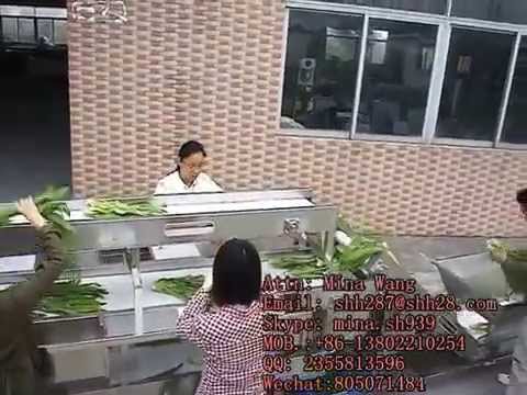 Three layers sorting vegetable processing production line, sorting, separation machine, leaf sorting