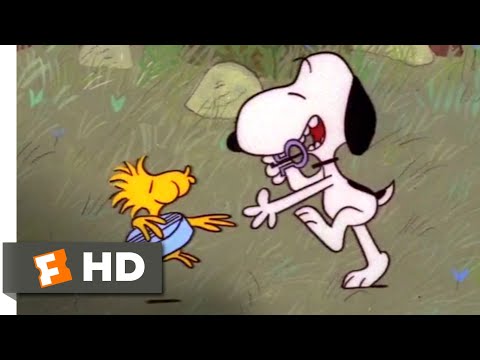 スヌーピー、カムホーム (1972) - ウッドストックのサンバシーン (5/10) | Movieclips (Snoopy, Come Home (1972) - Woodstock's Samba Scene (5/10) | Movieclips)