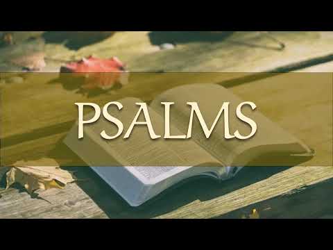 Psalm 143 • Bring my Soul out of Trouble!