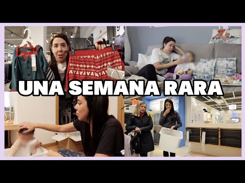 Una semana RARA …. Chloe mala, toca reorganizar y el piso nuevo