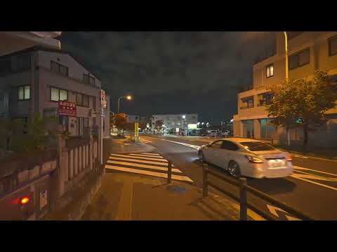Night Tokyo walk - From Hino to Tama