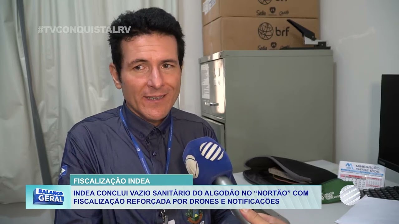Indea encerra vazio sanitário do algodão e usa drones contra o bicudo em MT