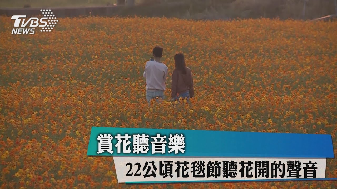 賞花聽音樂! 22公頃花毯節聽花開的聲音