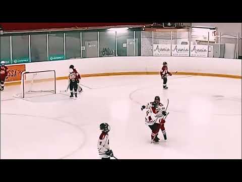 HPK U13 AA 2024 - HC Panter vs Sisu Hockey Punainen