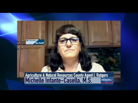 Michelle Infante–Casella, M. S.  Interview