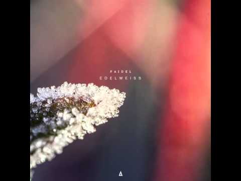 Faidel - IS 17V (Warmth Remix)