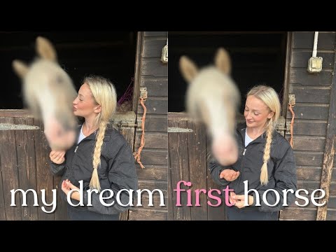 I BOUGHT MY FIRST HORSE! + TACK SHOPPING FOR HER!