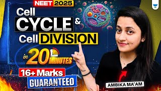 Cell Cycle & Cell Division One Shot in 20 Minutes