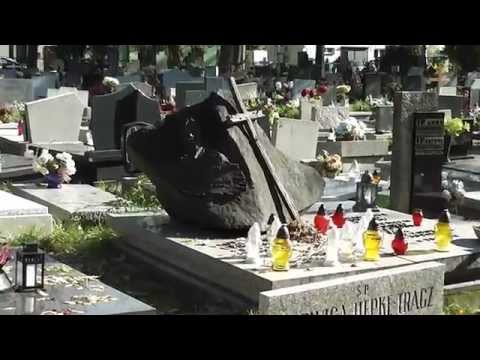 Zbigniew Cybulski-Grób